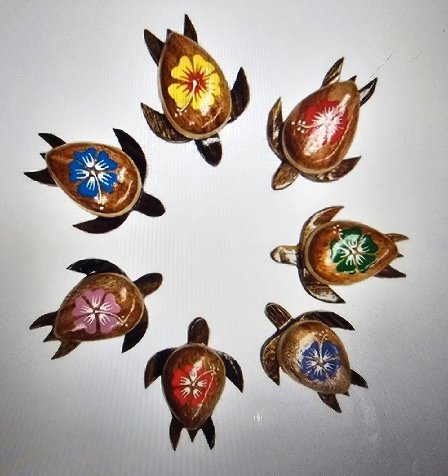 TURTLE MAGNETS WITH PLUMERIAS