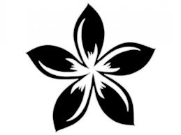 Turtle Shell Hair Comb "SELU" Plain or Personalized