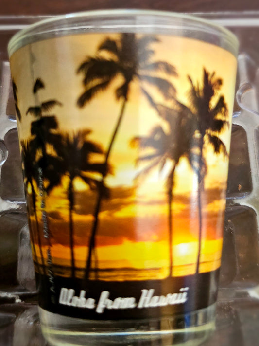 Aloha From Hawaii Sunset Shot Glass