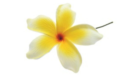 White and Yellow Plumeria Foam Stick Flowers