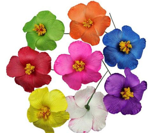 Hibiscus Flowers