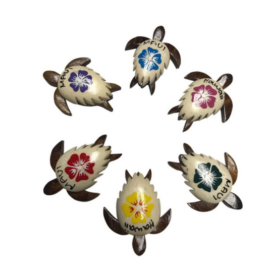 TURTLE MAGNETS WITH PLUMERIAS